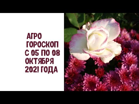 , title : 'Агрогороскоп с 05 по 08 октября 2021 года ПЛЮС'