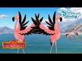 De Leeuwenwacht | Liedje: Go Go Flamingo ? ? | Disney Channel NL