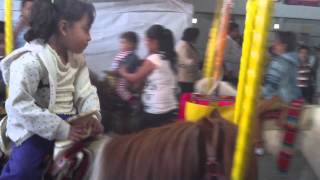 preview picture of video 'The living carousel: Animal Cruelty in a State Fair, Mexico'