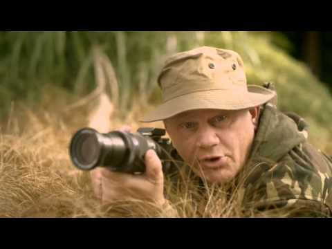 Samsung NX Masterclass In Wildlife Photography