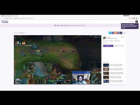 Kappachino Pogchamperino REEEEEEEEEEEEEEEEE