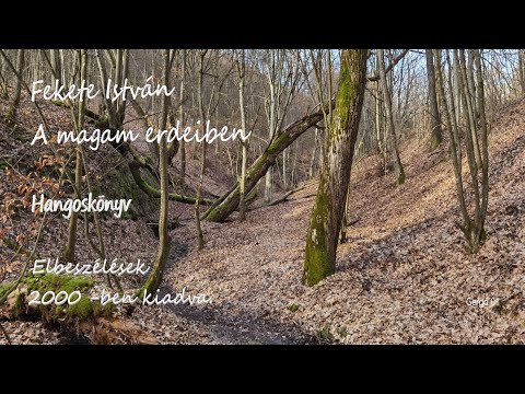 Fekete István - Magam erdeiben (Elbeszélések gyüjtemény 2000)