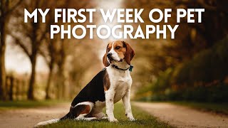 My First Week Of Pet Photography - How I Got Started