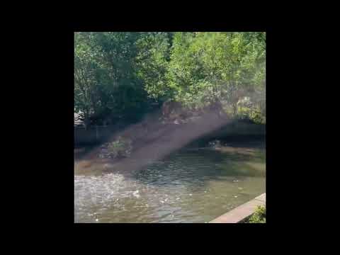 Clarks pond for fishing