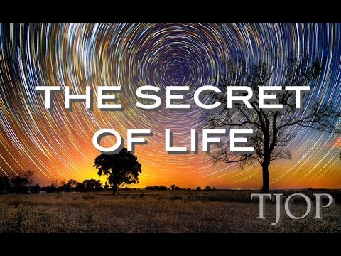 The Secret of Life - Alan Watts