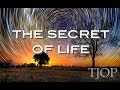 The Secret of Life - by Alan Watts 