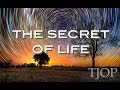 The Secret of Life - Alan Watts 