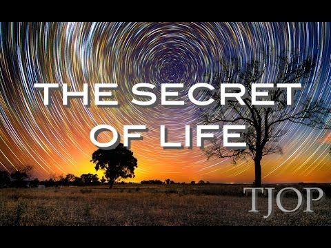 download lagu mp3 mp4 The Secret To Life, download mp3 The Secret To Life free download mp3, download mp3 The Secret To Life