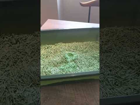 驚くべき発見: 猫砂が気候変動対策に役立つ可能性がある