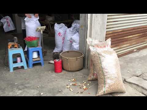 Peanut Factory in Fujian, China!