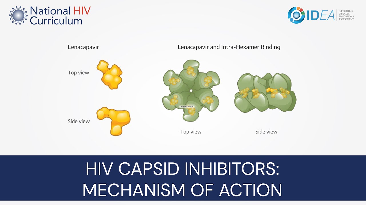 Mini-Lecture Series: HIV Capsid Inhibitors: Mechanism of Action