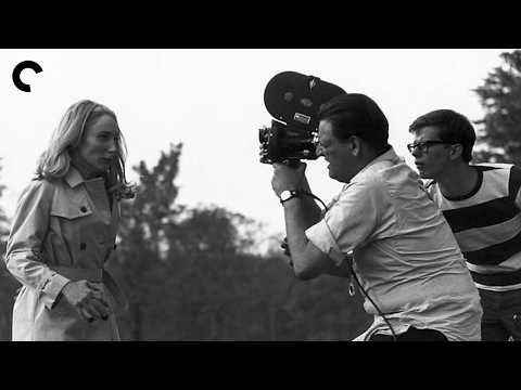 NIGHT OF THE LIVING DEAD: Limitations into Virtues