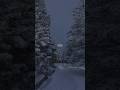 Sia Snowman Lyrics WhatsApp Status English Song Aesthetic Shorts Viralshorts Snowman Lyrics