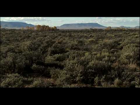 Climax Communities | Biology | Ecology