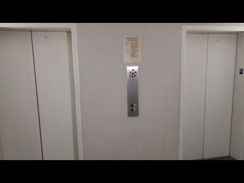 Epic Motor: Newer Generic Hydraulic Elevators