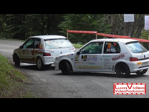 36° Rally della Lanterna 2020 Melioli-Figari 106 N2 - Passaggi esterni