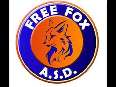 ASD FREE FOX VOLLEY SALA CONSILINA