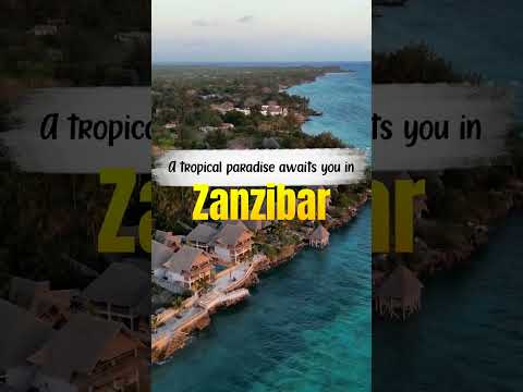 Tanzania Safari | Wildlife Safari | Serengeti National Park | Arusha #tanzania #wildlifesafari #trip