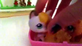 The sunshine through rain episode 3