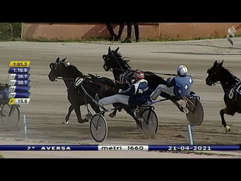 Aversa trotto 21 Aprile 2021 - 7° Corsa
