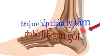 Cc45. Bài tập mạnh cơ ly tâm cho bệnh lý gân gót