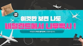 네덜란드 농장에 방문하였습니다 ! /Daelim Nursery (Netherlands,Belgium)