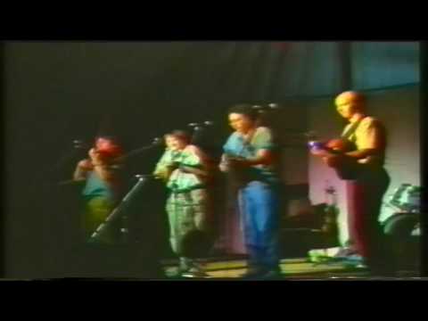 Dave Swarbrick & Whippersnapper - Foolish / Whenever