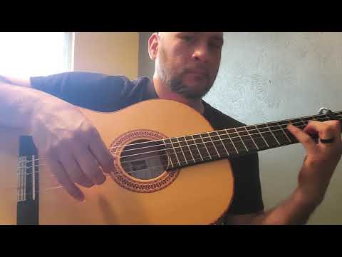 Beginner Flamenco Guitar Technique  - Golpe