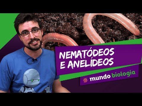 🐍 Zoology (2/6): Nematodes and Annelids - Biology - ENEM