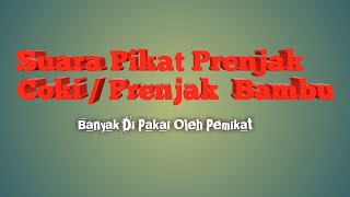 Download lagu Suara Pikat Prenjak Coki / Prenjak Bambu mp3 #HKBFPainan mp3 Download lagu Suara Pikat Prenjak Coki / Prenjak Bambu mp3 #HKBFPainan mp3