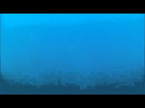 Carangidi a Patti (Dive-Spot: Lo Scoglietto di Patti-Me-Sicilia)