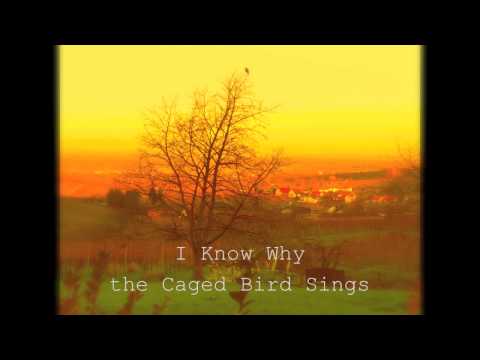 I Know Why the Caged Bird Sings (song)