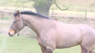 What will become of us...