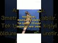 Asil Bir Kral Kral Kobra özellikleri Nelerdir ABONE OLMAYI UNUTMAYIN