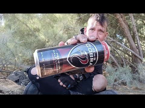 King Cobra Premium Malt Liquor