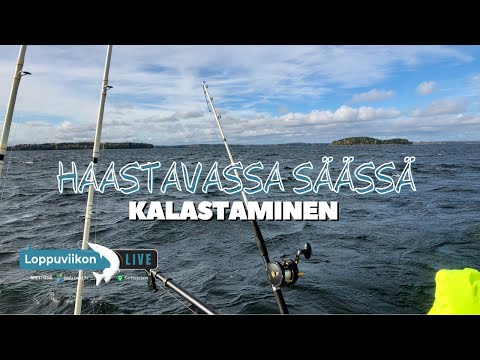 Haastavassa säässä kalastus | Loppuviikon LivE