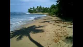 preview picture of video 'Lemontree Vibe in Rincon Puerto Rico'