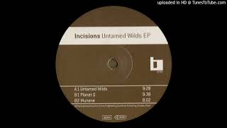 Incisions - Planet Q (2000)