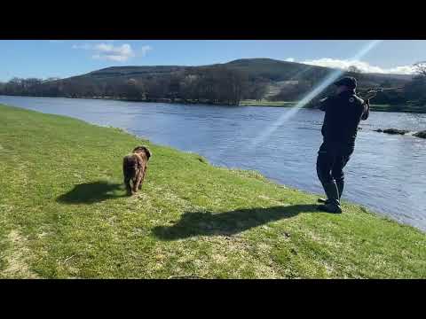 2 essential tips for speycasting a sinking line