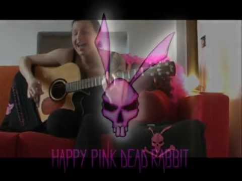 Happy Pink Dead Rabbit vs Emergenya 2012.wmv