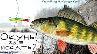 Рыбалка на нмр в ноябре декабре