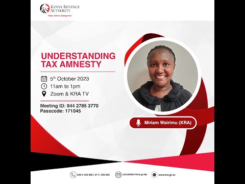 Understanding Tax Amensty