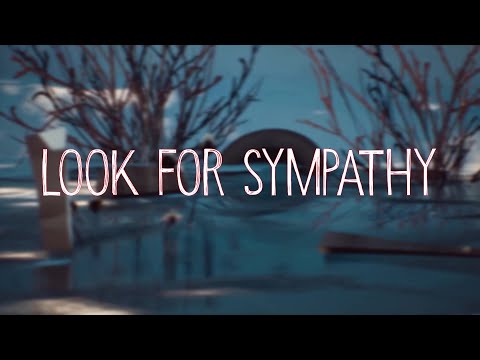 Look for Sympathy lyrics - Captain Spirit