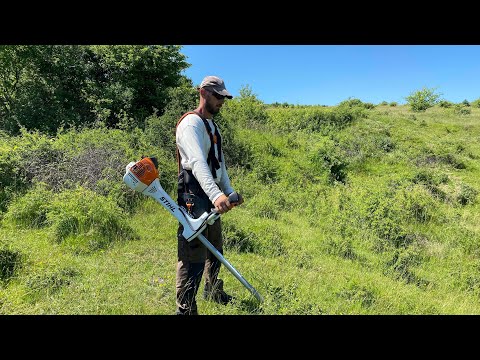 Cleaning up a big grassland from thorns and wild roses with Stihl Fs 560-C with circular saw blade.