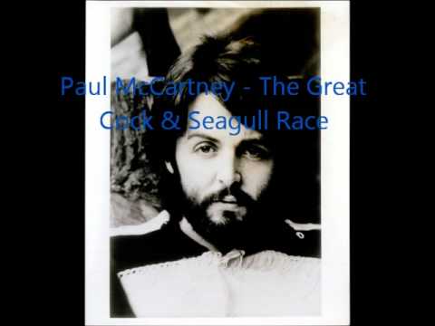 Video thumbnail for Great Cock and Seagull Race