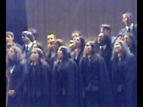 Coral da Faculdade de Economia do Porto, Dunas