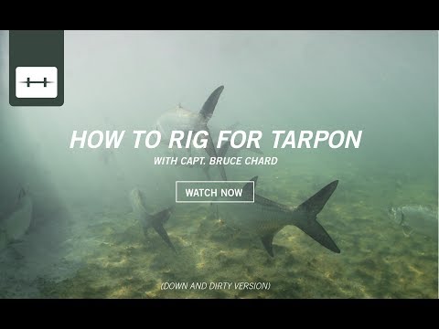 HOW TO RIG FOR TARPON [DOWN & DIRTY VER.]