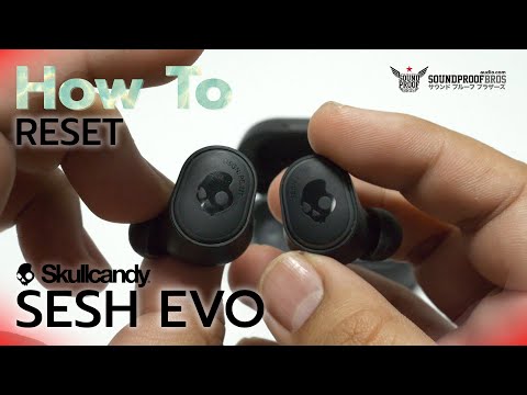 Skullcandy Sesh Xt Evo
