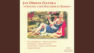 Jan Dismas Zelenka - Sonata No. 1 In F Major Zwv 181, 1 Adagio Ma Non Troppo video