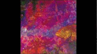 The Legendary Pink Dots - Premonition 7